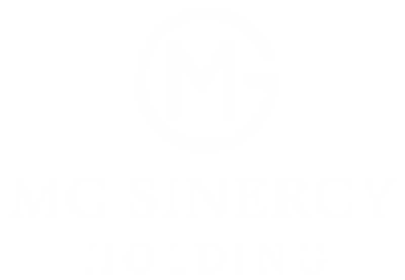 Mgsh Holding