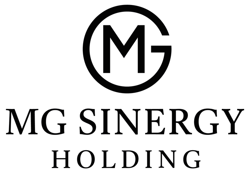 Mgsh Holding