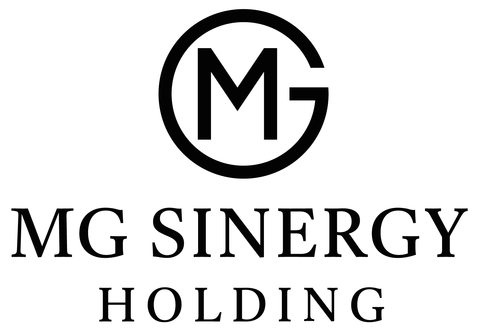 Mgsh Holding
